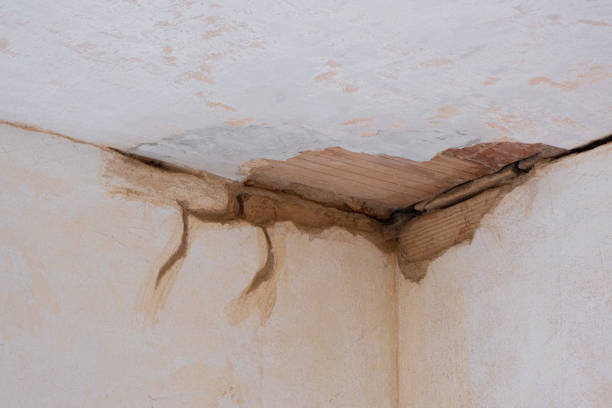 Best Flood damage cleanup  in Jena, LA