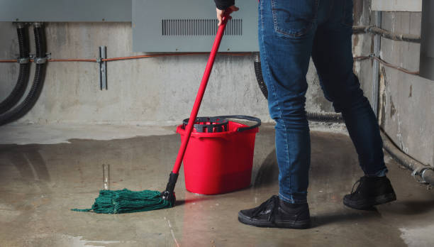 Best Emergency water damage restoration  in Jena, LA