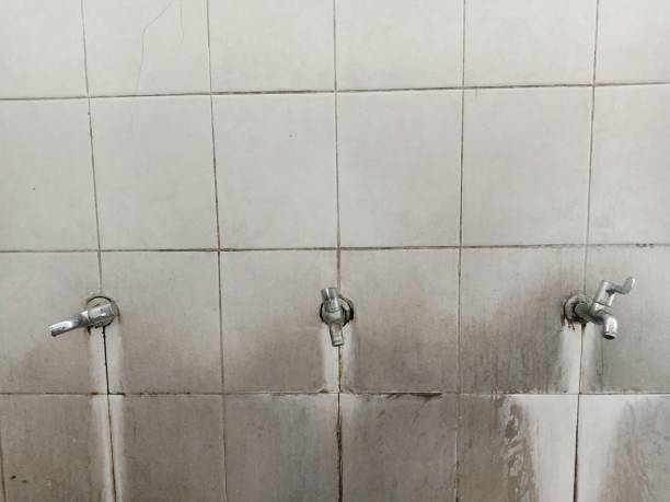Best Carpet water damage restoration  in Jena, LA