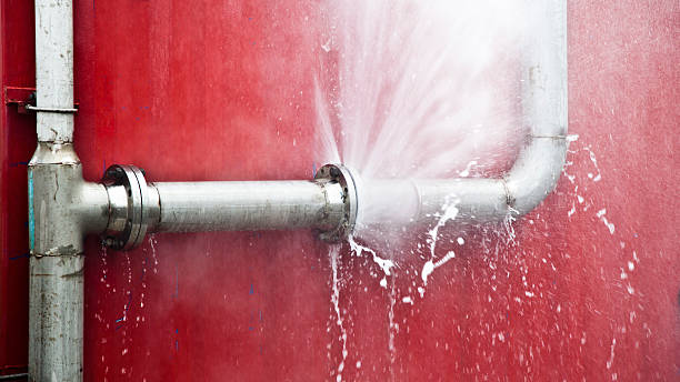 Best Local water damage restoration  in Jena, LA