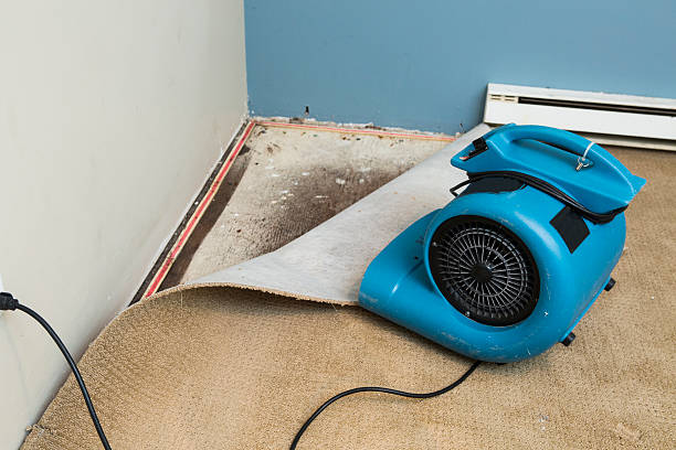 Best Ceiling water damage repair  in Jena, LA